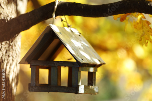 Photo birdhouse in the autumn forest