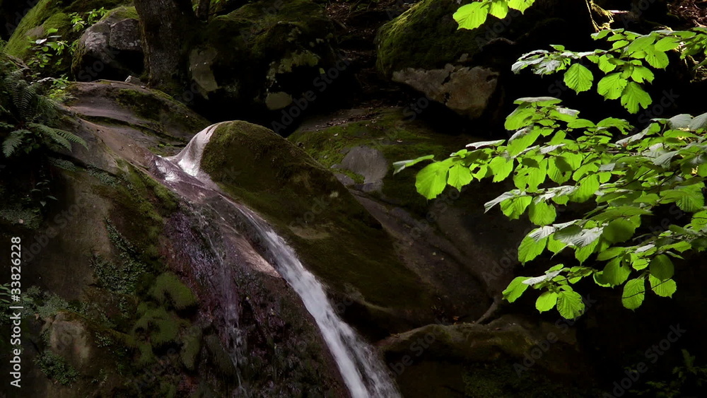 Waterfall in a forest in the North Caucasus Waterfall in a forest in the North Caucasus