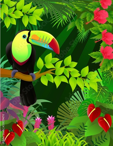 vector illustration of toucan in the tropical jungle