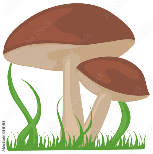 Pilze