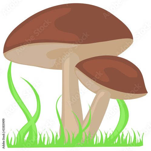 Pilze