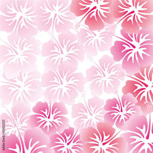 hibiscus background © MisaoN