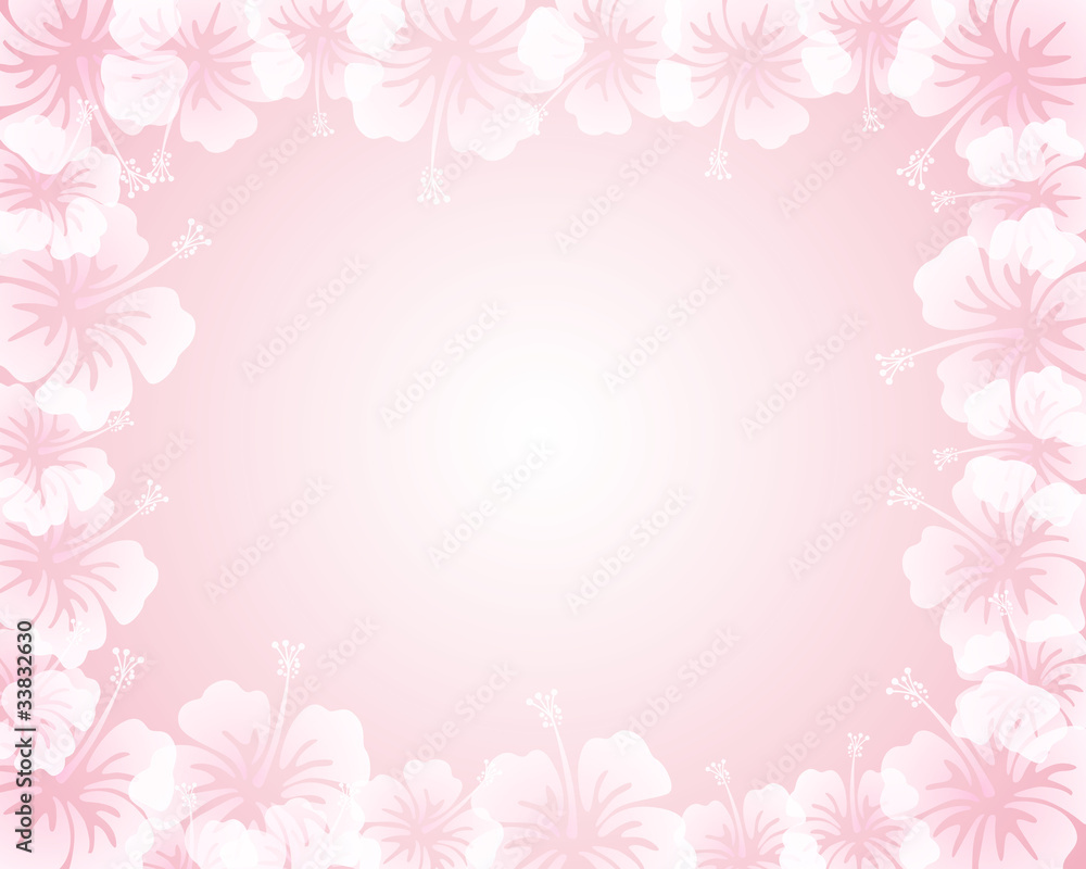 hibiscus background