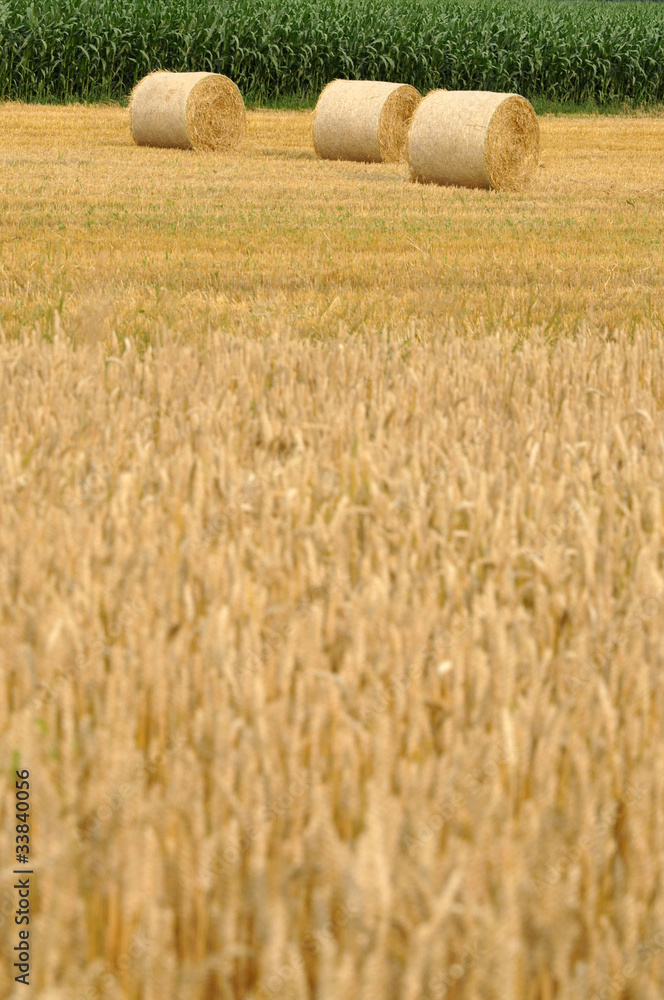 Fototapeta premium Bales