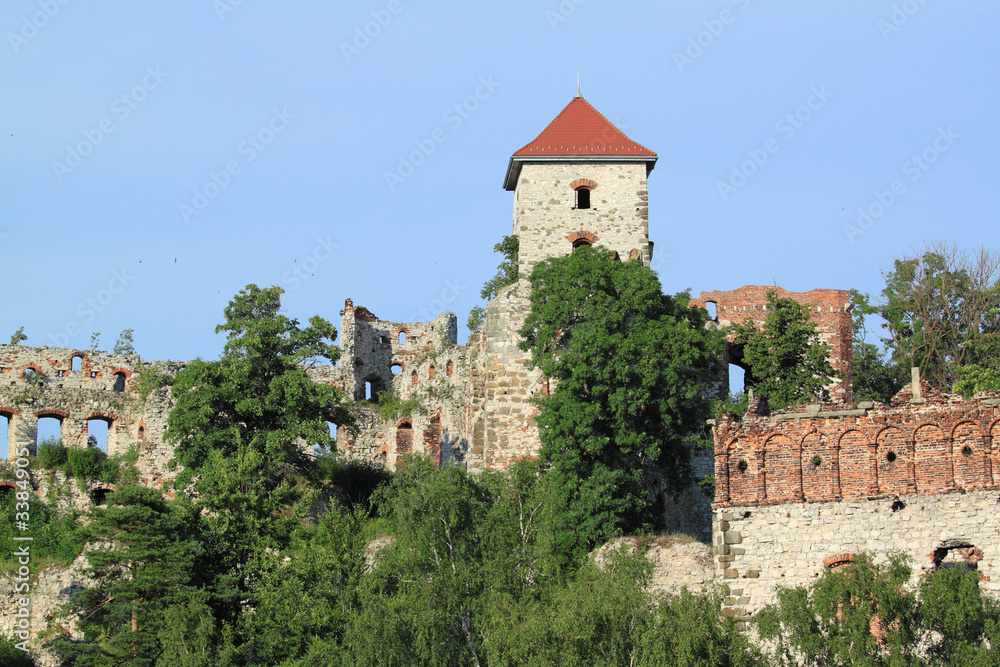 Medieval castle ruin