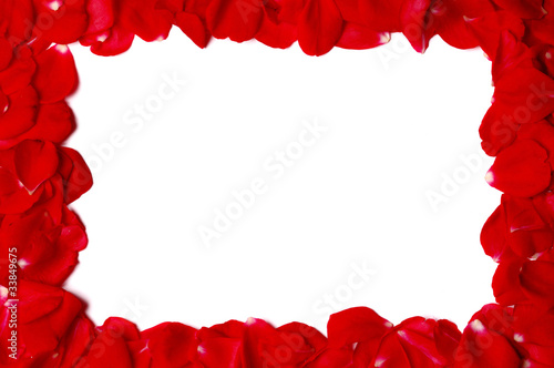 Fototapeta Naklejka Na Ścianę i Meble -  rose petals frame