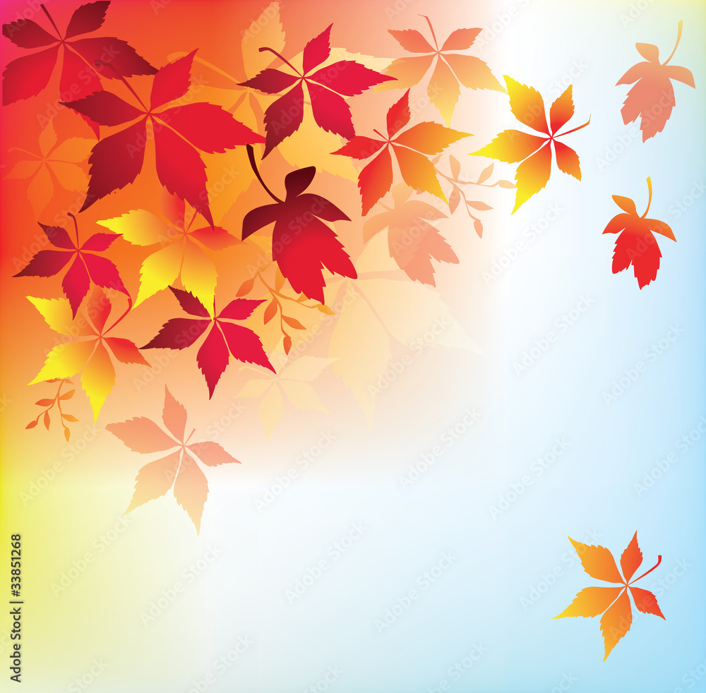 Autumn Background-Autumn Leaves Falling