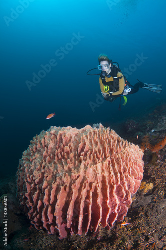 Diver over barrel sponge