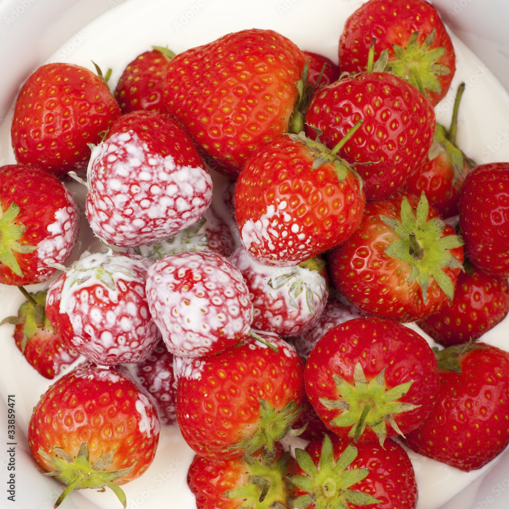 Strawberries and cream.