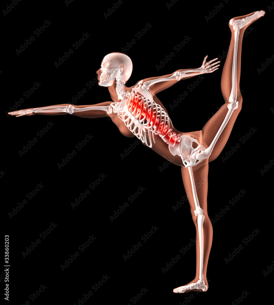 Fotografie Female skeleton in yoga position