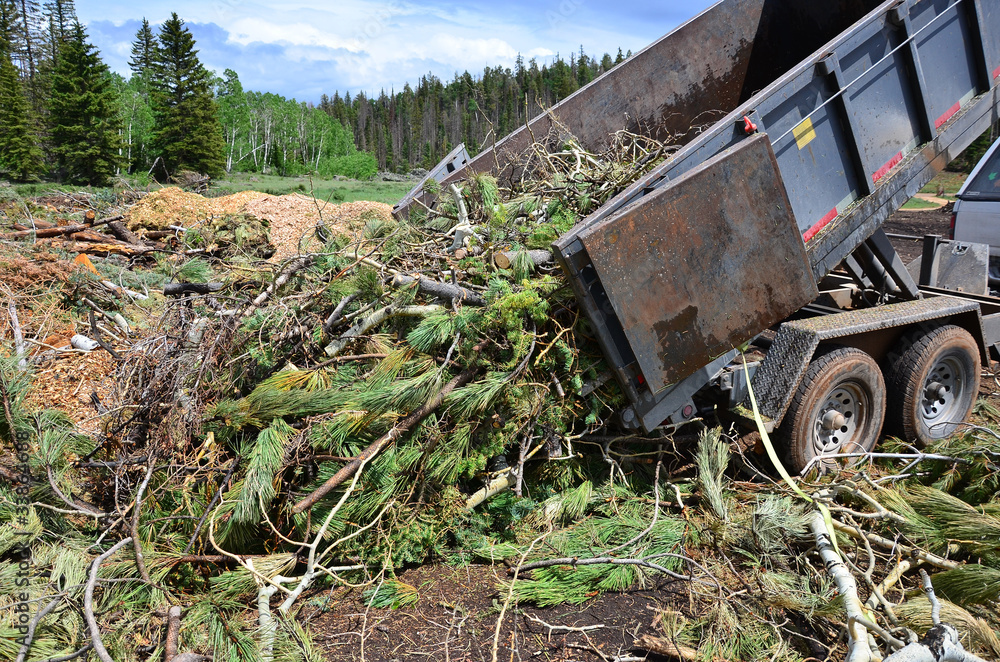 Fototapeta premium Dump Trailer Dumping Limbs