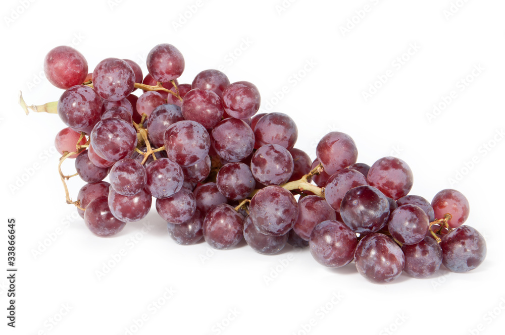 liegende Weinrebe mit roten Trauben