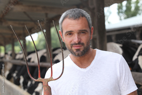 a breeder with cows