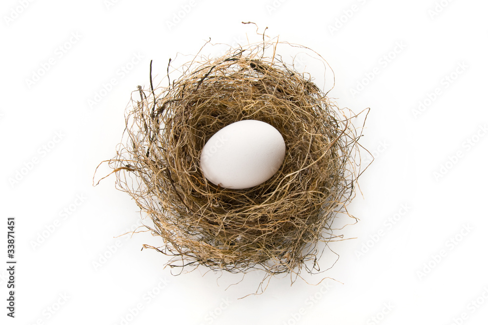 Nest egg Nest egg