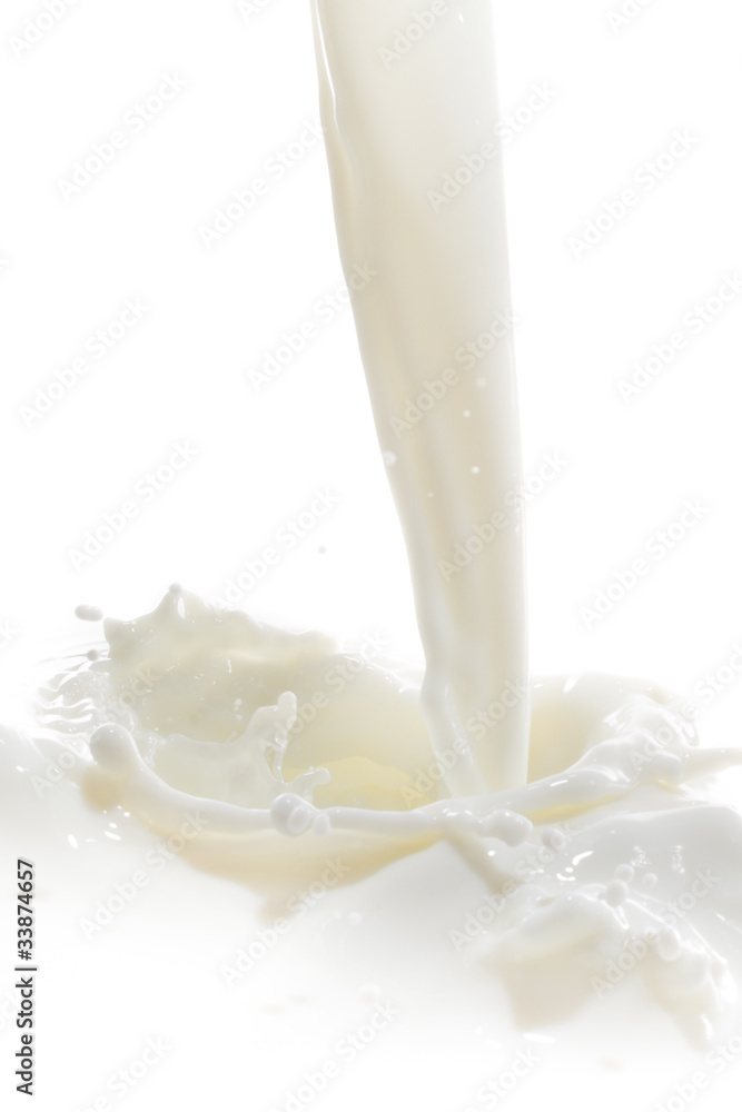 milk splash milk splash