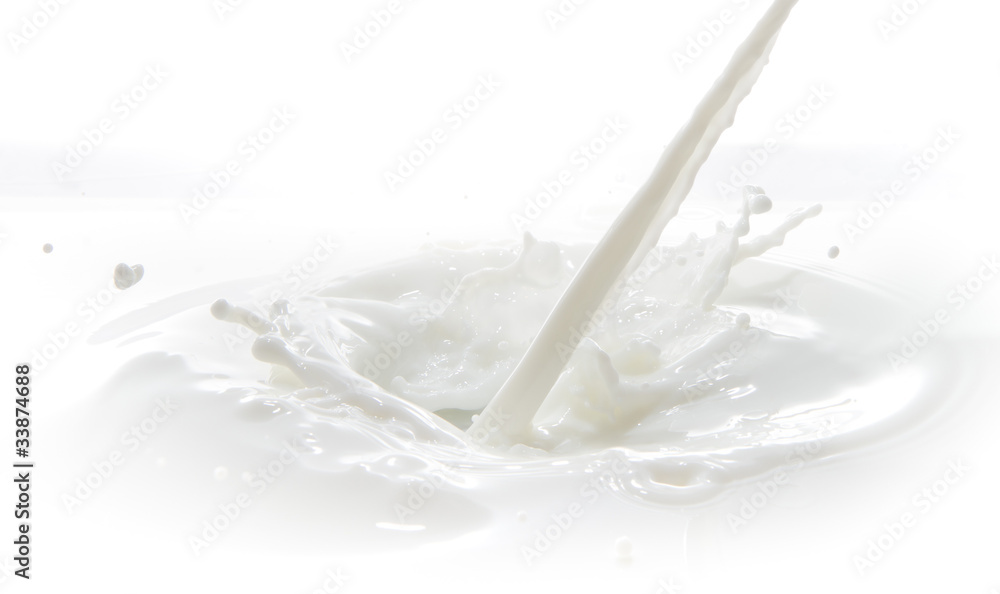 milk splash milk splash