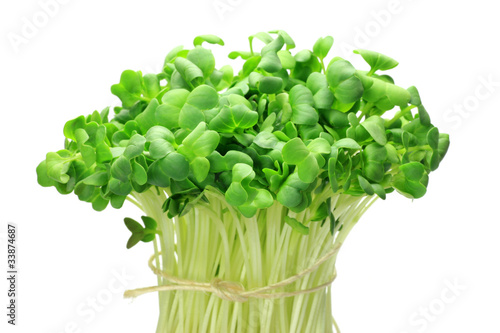 daikon sprouts