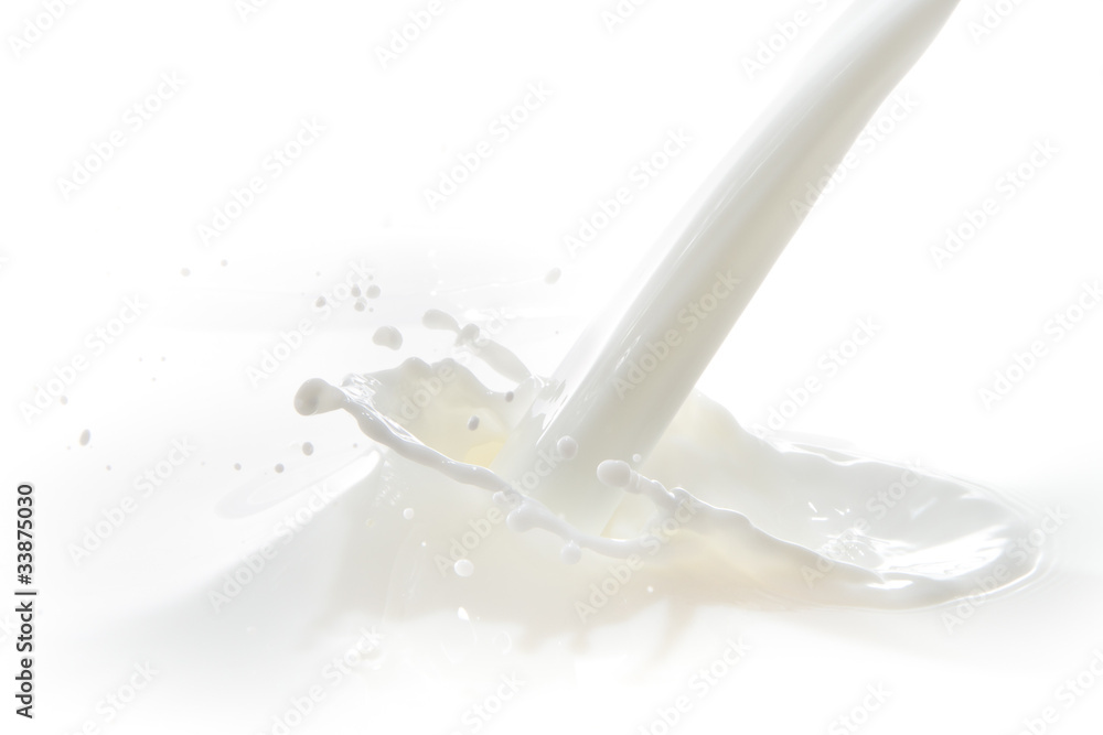milk splash milk splash