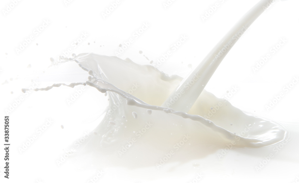 milk splash milk splash