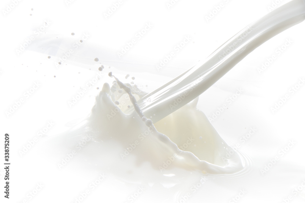 milk splash milk splash