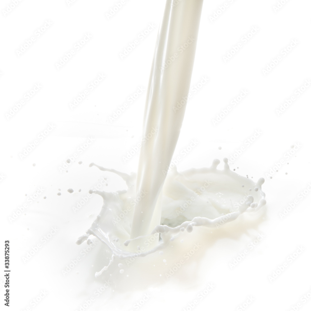 milk splash milk splash
