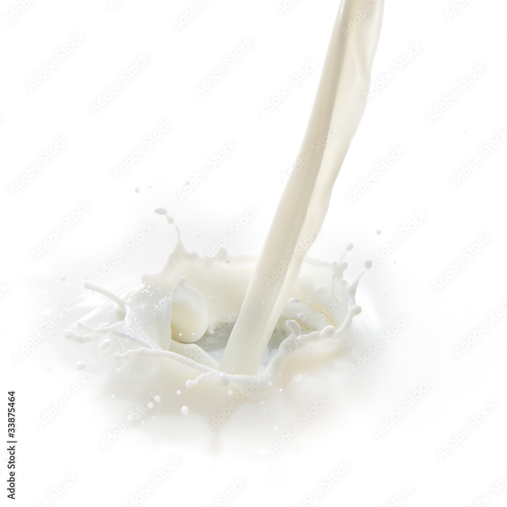 milk splash milk splash