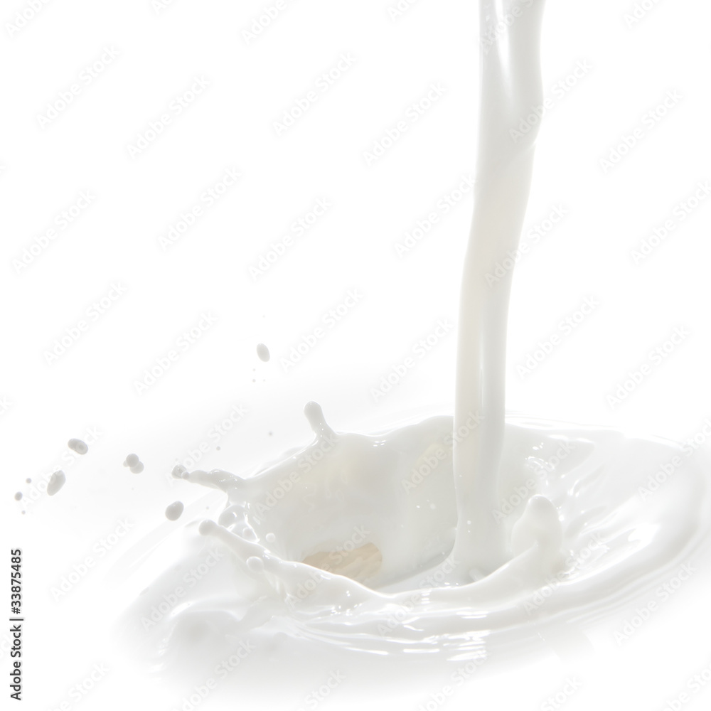 milk splash milk splash