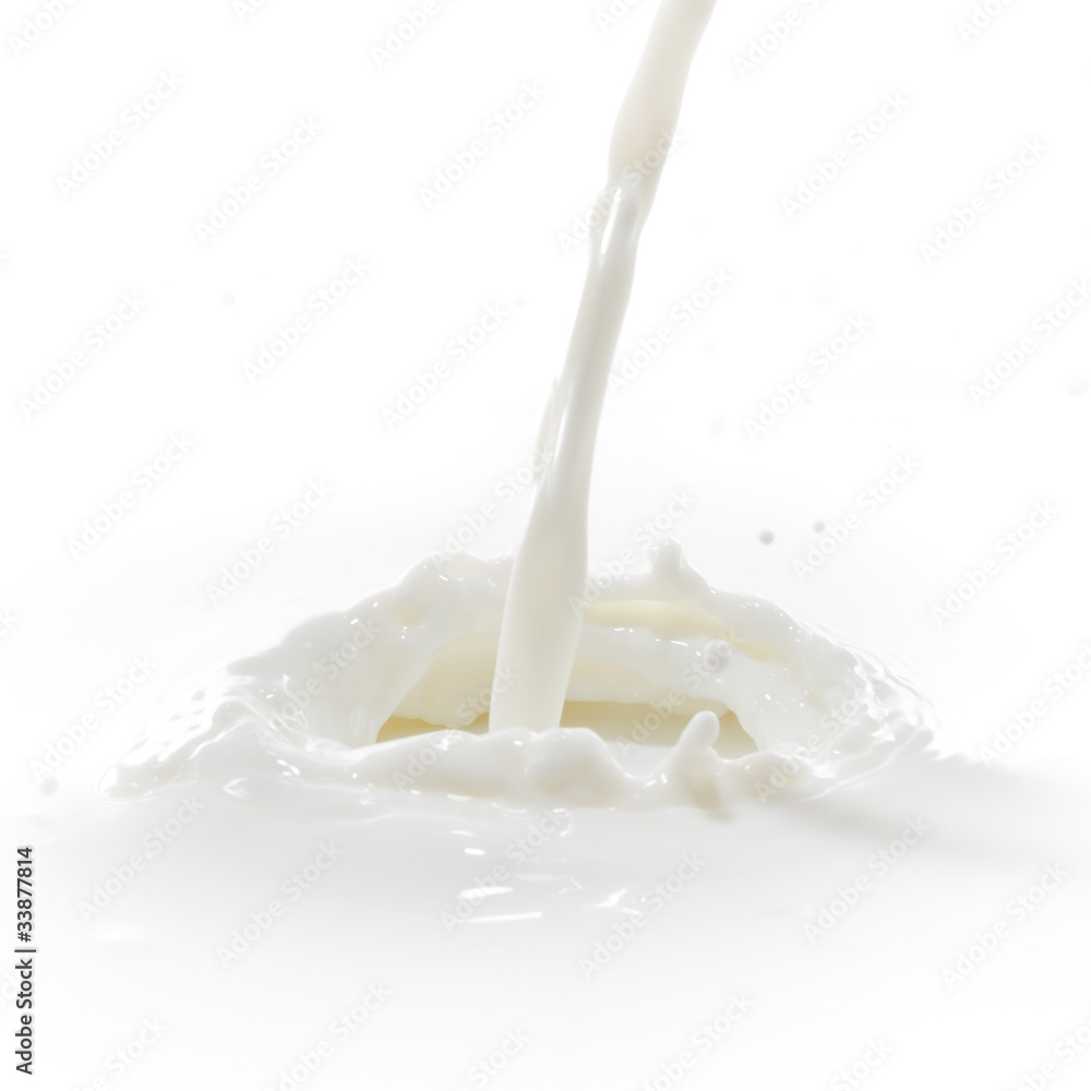 milk splash milk splash