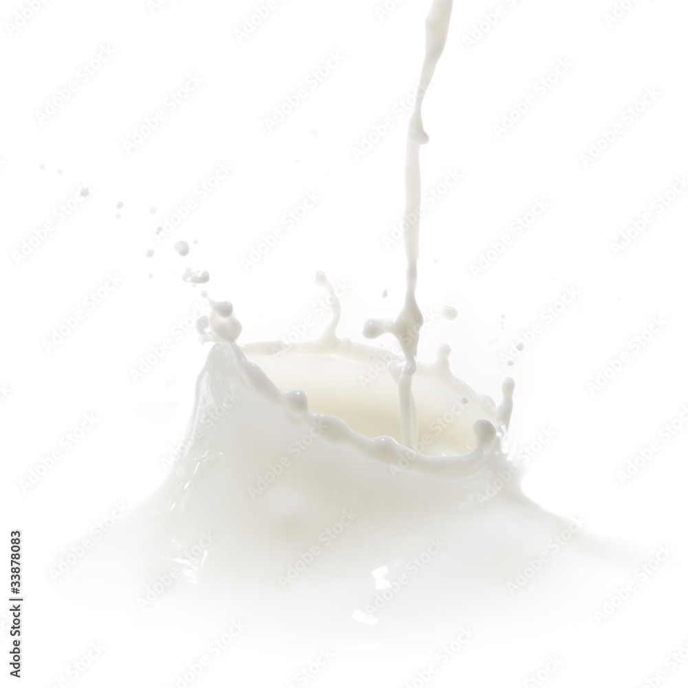 milk splash milk splash