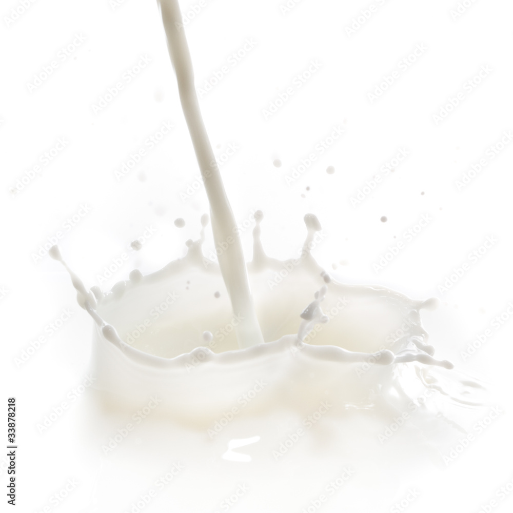 milk splash milk splash