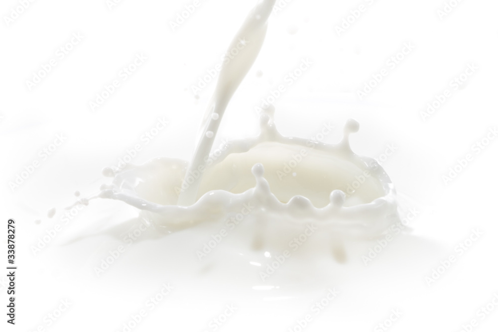 milk splash milk splash