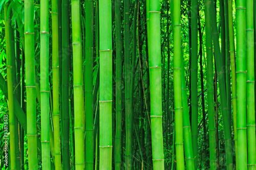 light bamboo