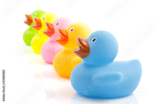 Obraz na plátně Five ducklings