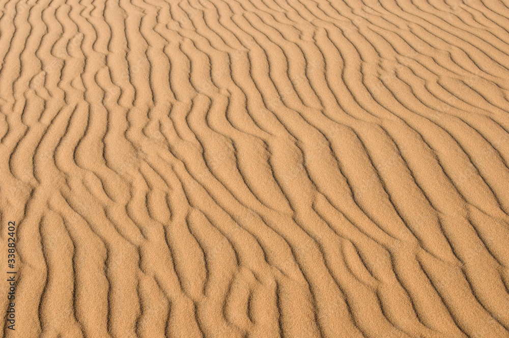 Sand dune texture