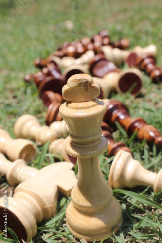 Deadly fight - all dead except the white king