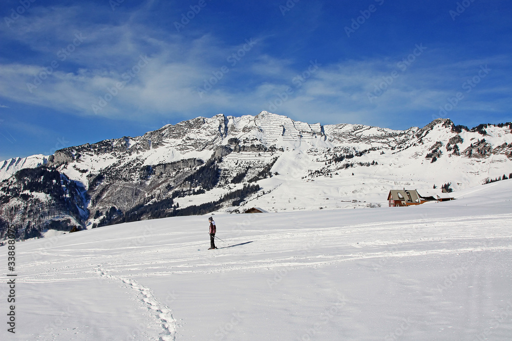 Winter in alps