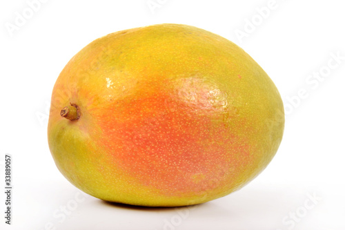 Mangue (Mangifera indica)