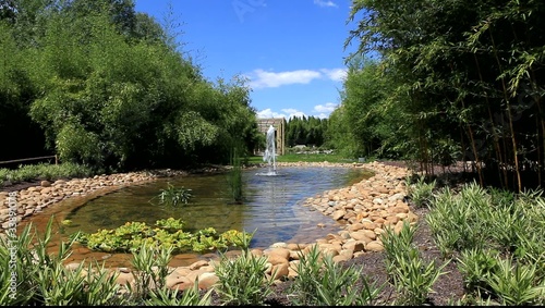 bassin aquatique de jardin japonais photo