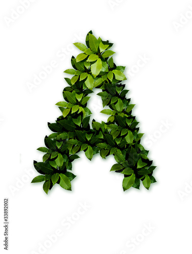 letter leaves and grass