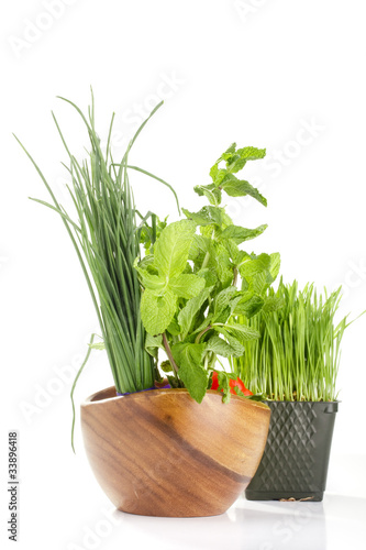 Healthy Green Food