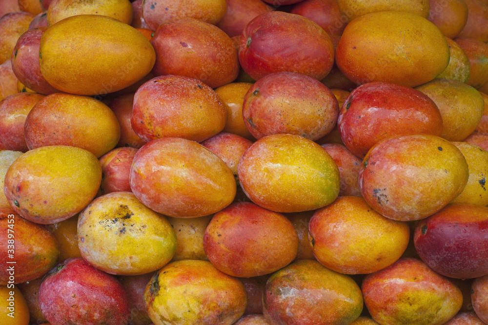 tropical mango tropical mango