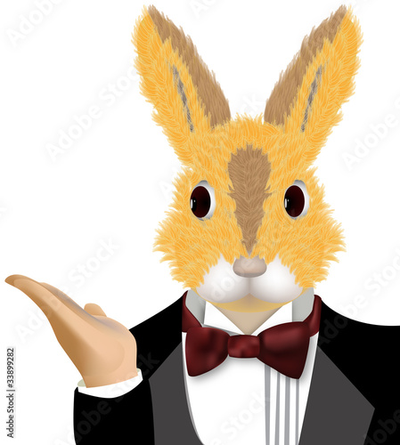 rabbit