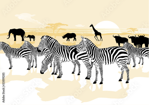 Serengeti