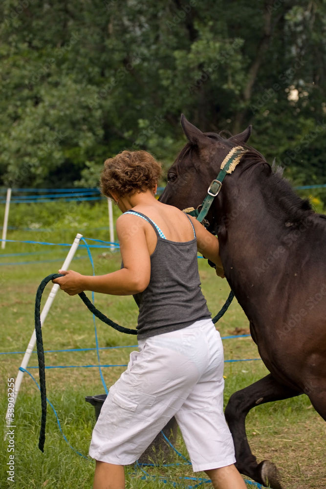 Obraz premium ragazza con cavallo