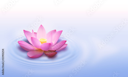 Fototapeta Naklejka Na Ścianę i Meble -  Lotus flower