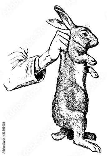 Kaninchen aus dem Hut zaubern