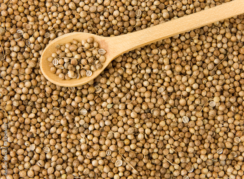 spice coriander and wooden spoon spice coriander and wooden spoon