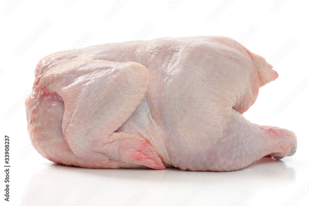 Crude Hen on a white background