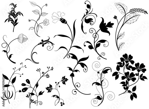 Isolated Creative Fancy Flourish Elements