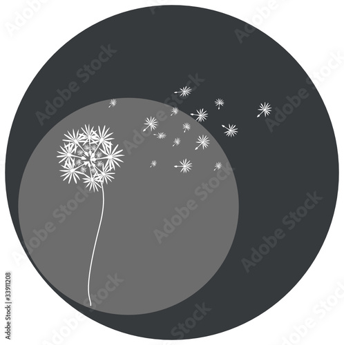 pusteblume